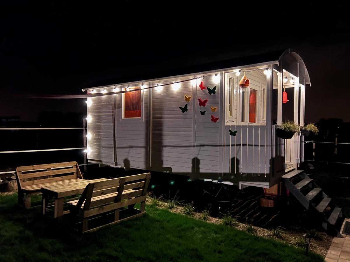 Bed and Breakfast Ontwaken Tussen De Paarden Zoutleeuw Экстерьер фото